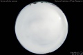 2014/6/15 19:31’10”