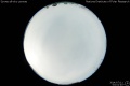 2014/7/11 03:01’40”