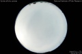 2014/7/11 03:02’40”