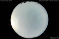 2014/7/11 03:51’10”