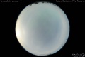 2014/7/11 04:04’40”