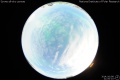 2014/10/8 21:00’10”