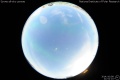 2014/10/8 21:51’10”