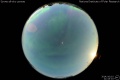 2014/10/10 21:43’10”