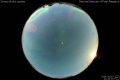 2014/10/10 21:44’10”