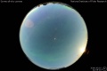 2014/10/10 21:55’10”