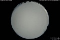 2015/3/12 22:36’10”