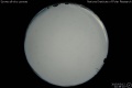 2015/3/12 22:38’10”