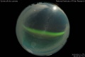 2015/3/13 21:00’10”