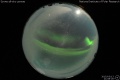 2015/3/13 21:08’26”