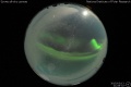 2015/3/13 21:08’32”