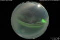 2015/3/13 21:08’44”