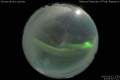 2015/3/13 21:09’02”