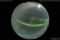 2015/3/13 21:10’02”