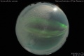 2015/3/13 21:18’02”