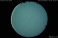 2015/3/21 00:51’06”
