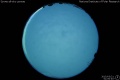 2015/3/21 01:00’40”