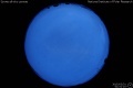 2015/3/31 01:51’10”