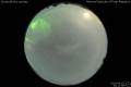 2015/4/10 20:11’58”