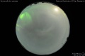 2015/4/10 20:12’04”