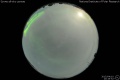 2015/4/10 20:19’52”