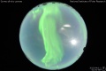 2015/4/11 01:00’58”