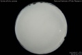 2015/6/7 23:51’10”
