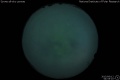 2015/6/12 04:55’10”