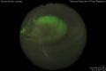 2015/6/18 01:21’46”