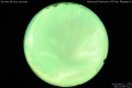 2015/6/22 20:01’06”