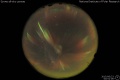 2015/6/23 00:51’06”