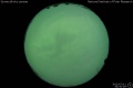 2015/7/11 04:50’00”