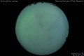 2015/7/11 04:59’36”