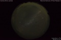 2016/5/10 19:06’10”