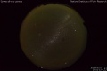 2016/5/31 17:01’12”