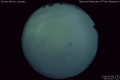 2016/6/8 05:01’10”