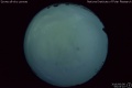 2016/6/8 05:03’10”