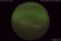2016/6/10 21:50’12”