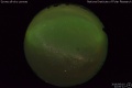 2016/6/10 22:00’12”