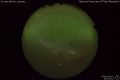 2016/6/10 22:02’12”