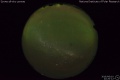 2016/6/10 22:20’12”
