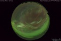 2016/6/11 02:51’42”
