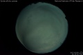 2017/3/9 21:32’10”