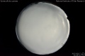2017/3/17 21:46’12”