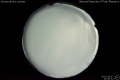 2017/3/17 21:50’12”