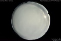 2017/3/17 21:54’12”