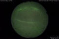 2017/3/21 20:00’04”
