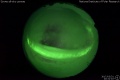2017/3/31 20:31’02”