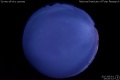 2017/6/1 05:00’14”