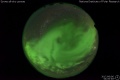 2017/6/6 04:00’48”